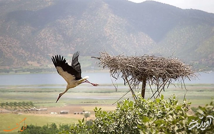 نمایی زیبا از دریاچه نمایی زیبا از دریاچه